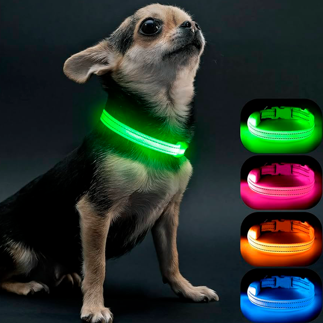 Collare Luminoso a LED PetWorld™