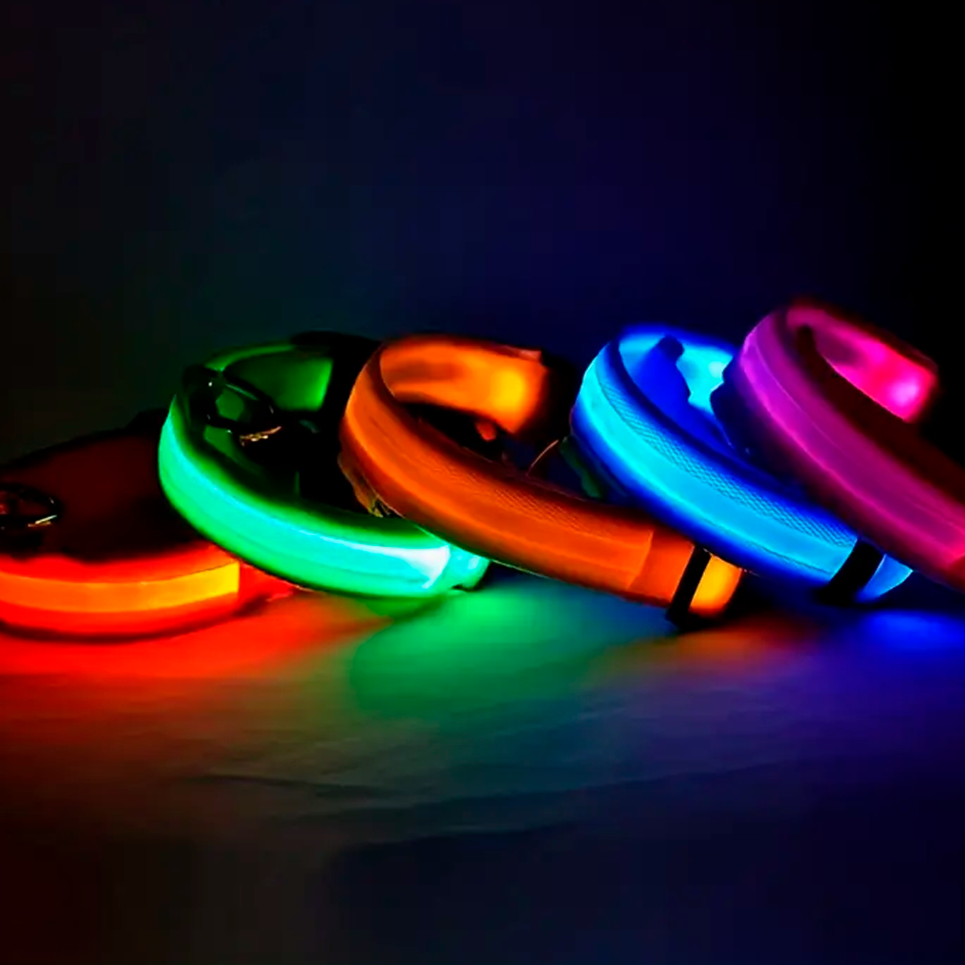 Collare Luminoso a LED PetWorld™